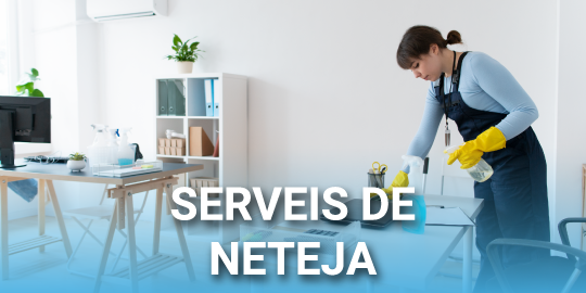 Serveis professional de neteja